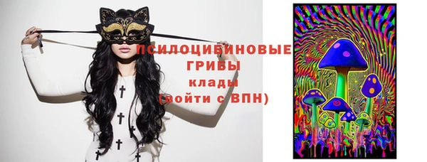 стаф Аркадак