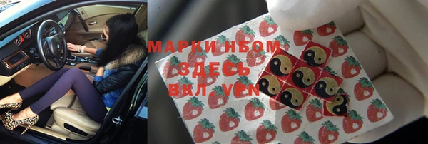 стаф Аркадак