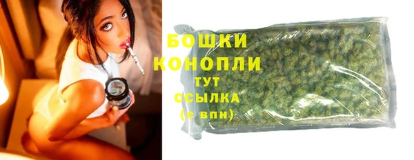 стаф Аркадак