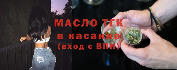 стаф Аркадак