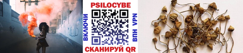Псилоцибиновые грибы прущие грибы  Асбест 